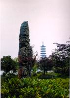 中国茶花文化园 中国茶花文化园