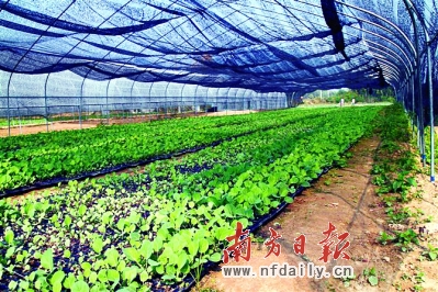 桃源社区 桃源社区