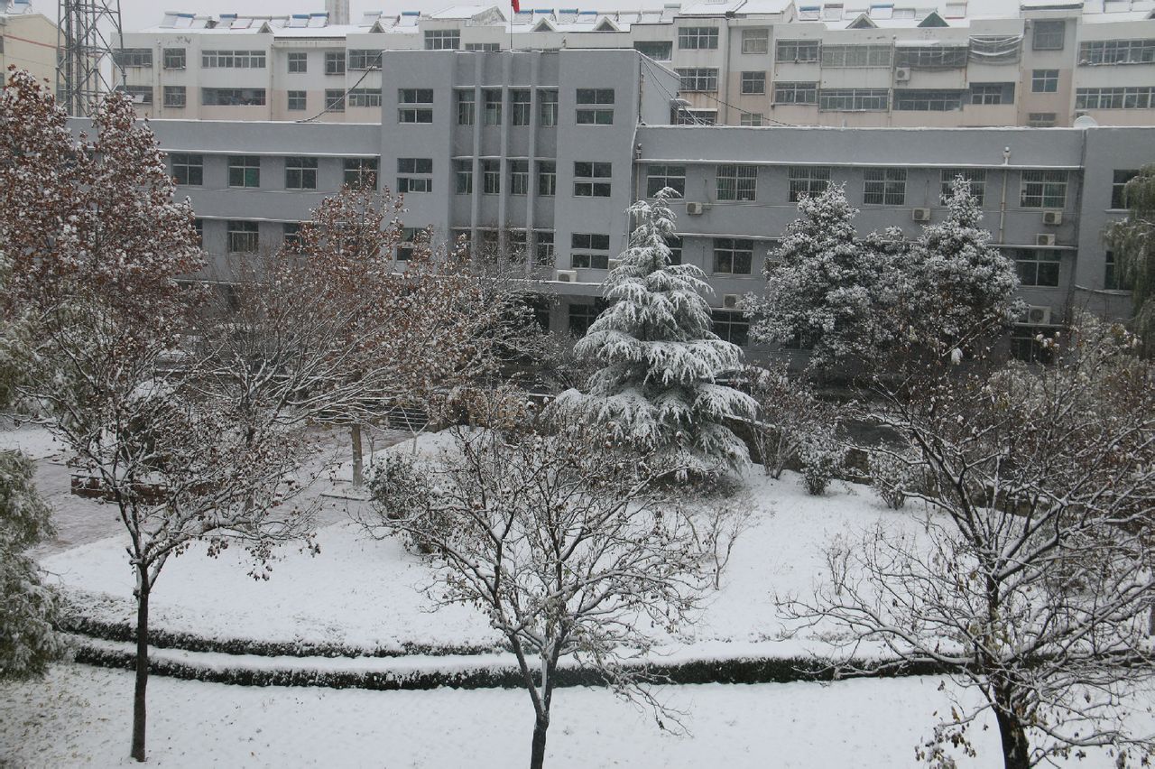 天平街道(山东省泰安市岱岳区天平街道) 天平街道(山东省泰安市岱岳区天平街道)