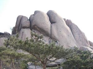 光明寺 光明寺