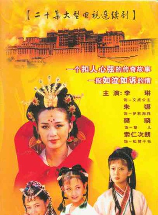 常晓阳(中国内地导演、演员)