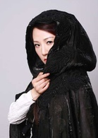 聊斋三(聊斋3之庚娘)