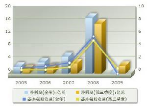 新安股份 新安股份