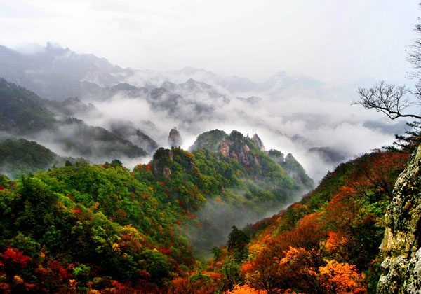 丹霞寺森林公园 丹霞寺森林公园