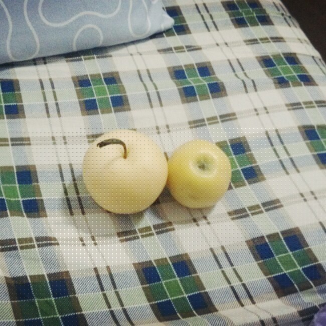 红酒果味奶茶
