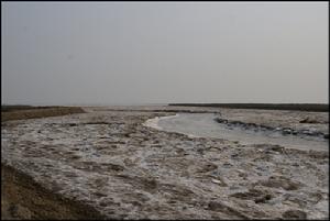 污染后的滹沱河 污染后的滹沱河