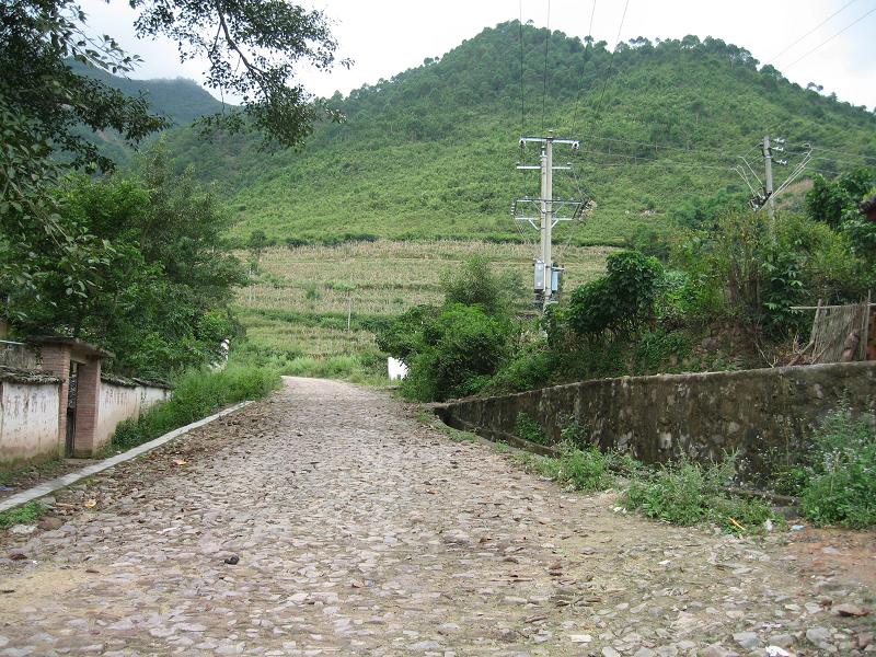 凤梨村(云南省云县后箐彝族乡下辖村) 凤梨村(云南省云县后箐彝族乡下辖村)