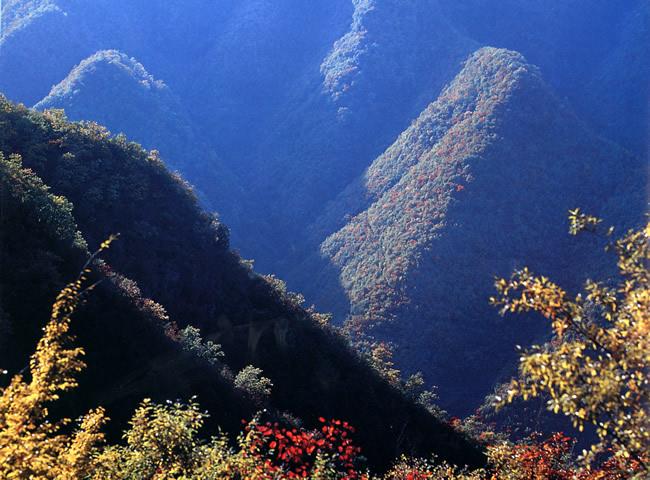 上遥镇广志山景区 上遥镇广志山景区