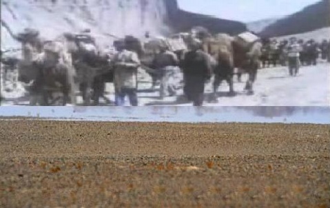 靖康海市亡人趁 靖康海市亡人趁
