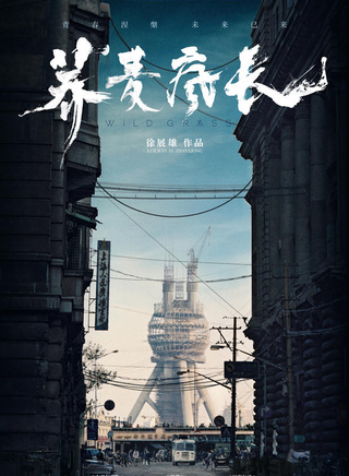 马思纯