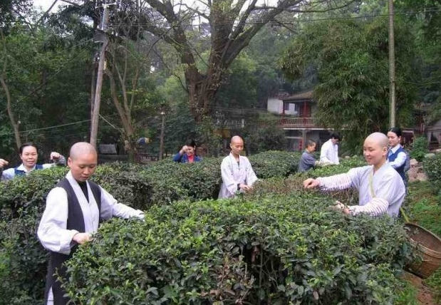 洗石庵 洗石庵