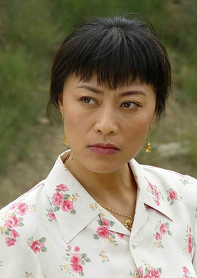 满天星(2004年高一功执导电视剧)