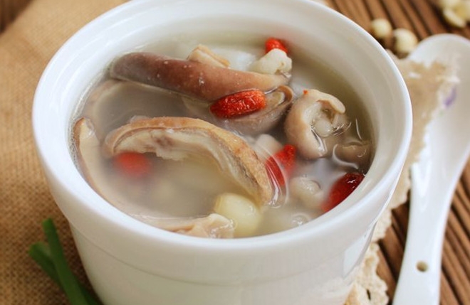 炖鸽子 炖鸽子
