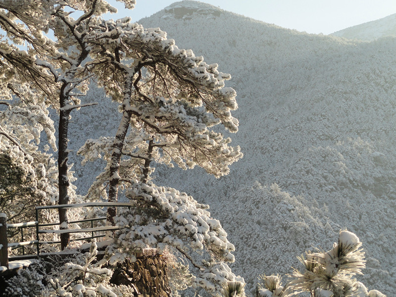 龙泉山景区 龙泉山景区