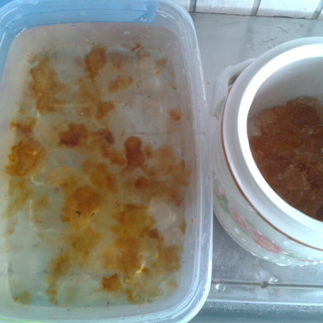 香浓牛奶炖桃胶