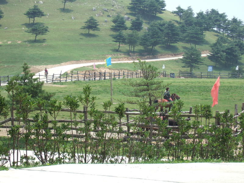 百里荒草原风景区 百里荒草原风景区