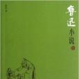 鲁迅小说/中国现代名家小说书系 鲁迅小说/中国现代名家小说书系