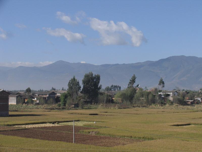 开河北村