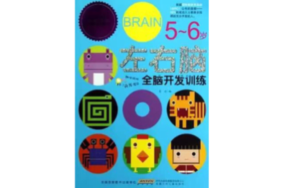 左右脑全脑开发训练