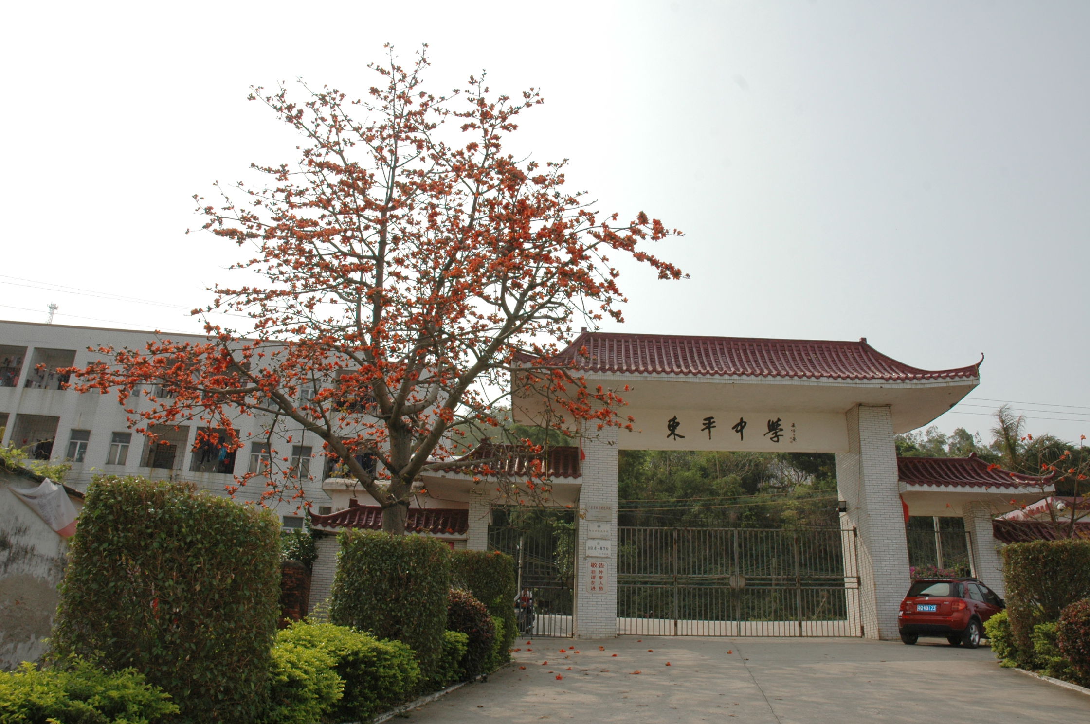 阳东县东平中学 阳东县东平中学