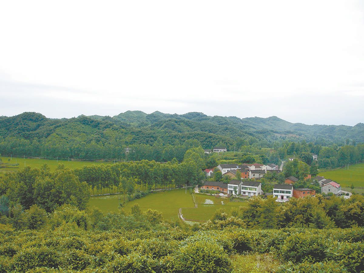 大架子村 大架子村