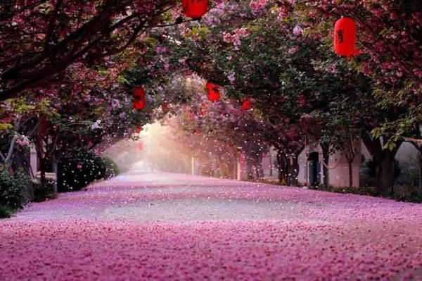濯村 濯村