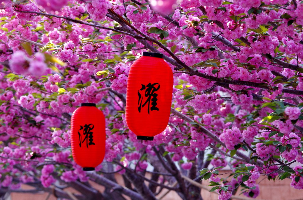 濯村 濯村
