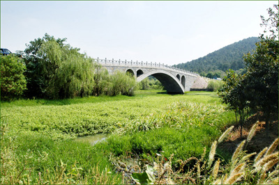公园内湿地 公园内湿地