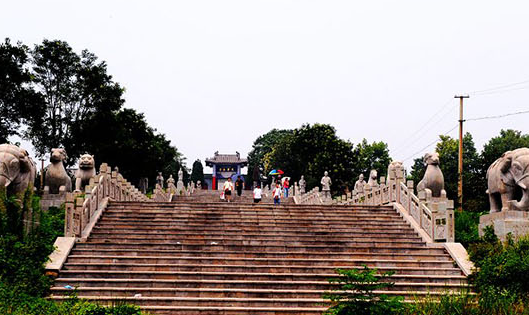 微山湖湿地红荷风景区(微山湖红荷湿地)