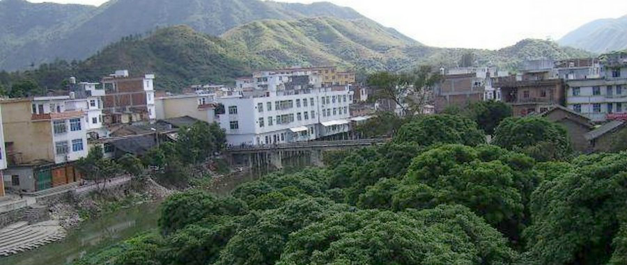 东溪平和县大溪镇段 东溪平和县大溪镇段