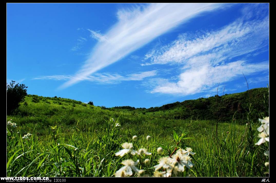门头沟区 门头沟区