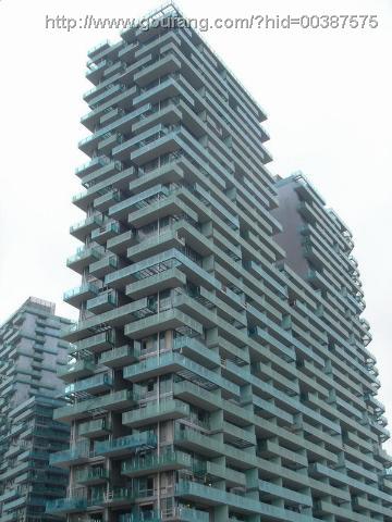 红树西岸 红树西岸