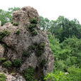 金山屯区 金山屯区