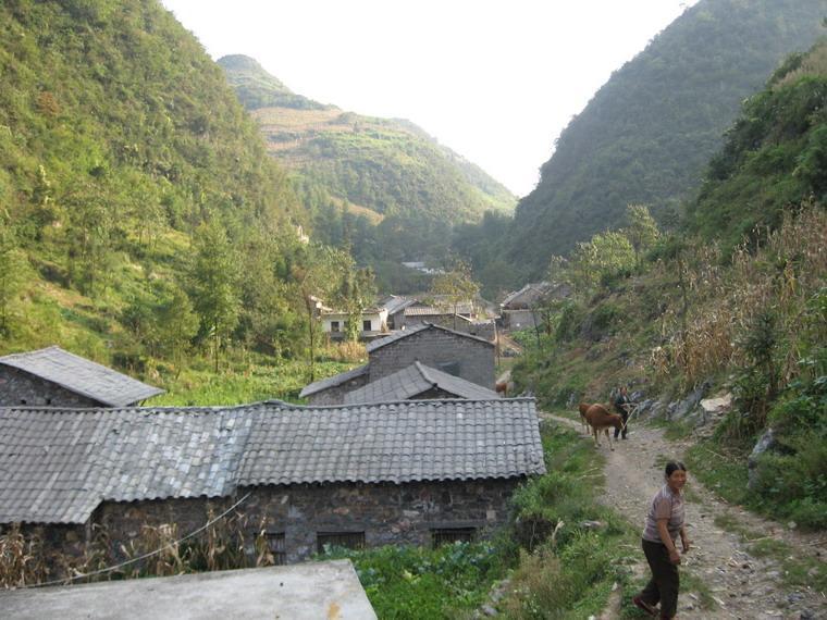 岩上自然村(果珠彝族乡云岭村委会下辖自然村) 岩上自然村(果珠彝族乡云岭村委会下辖自然村)