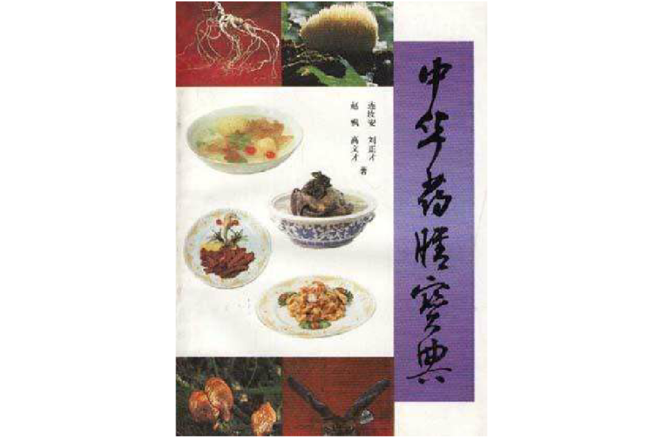 中华药膳宝典 中华药膳宝典