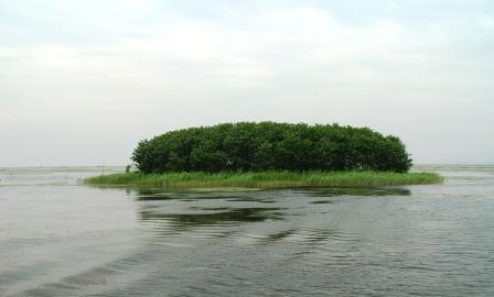 滕州滨湖国家湿地公园 滕州滨湖国家湿地公园