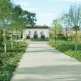 上花园村 上花园村