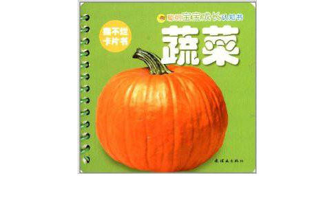 聪明宝宝成长认知书:蔬菜 聪明宝宝成长认知书:蔬菜