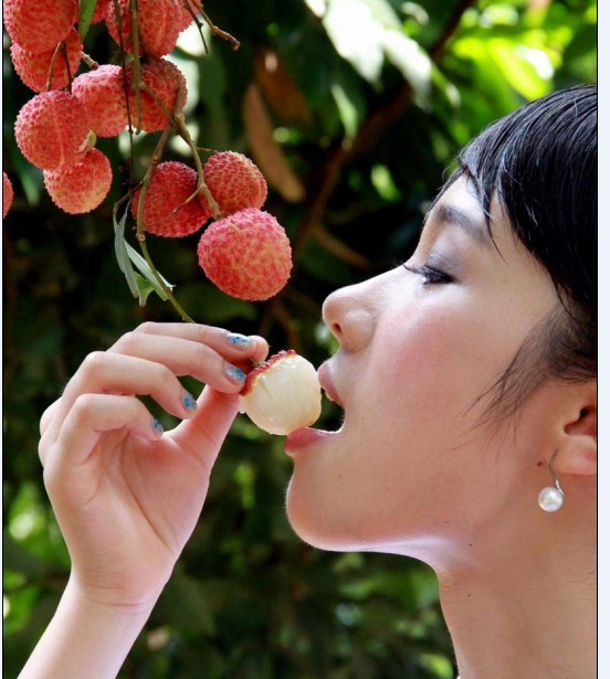 桂味荔枝 桂味荔枝