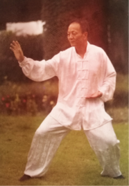 莆田市武术协会 莆田市武术协会