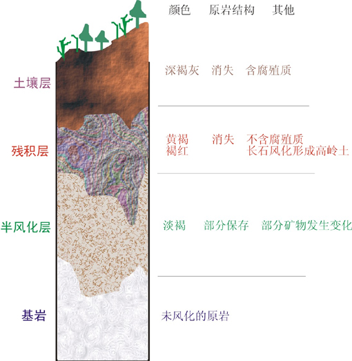 土壤分层 土壤分层