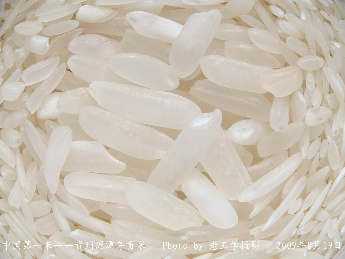 茅贡米