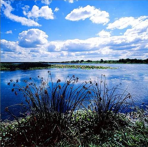 三江平原湿地 三江平原湿地