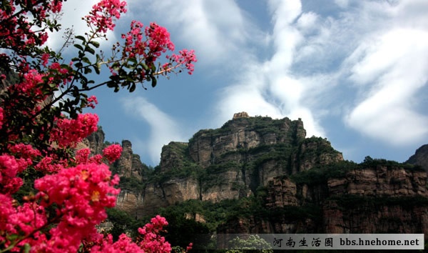王相岩 王相岩