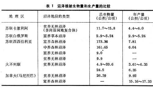 沼泽生态 沼泽生态