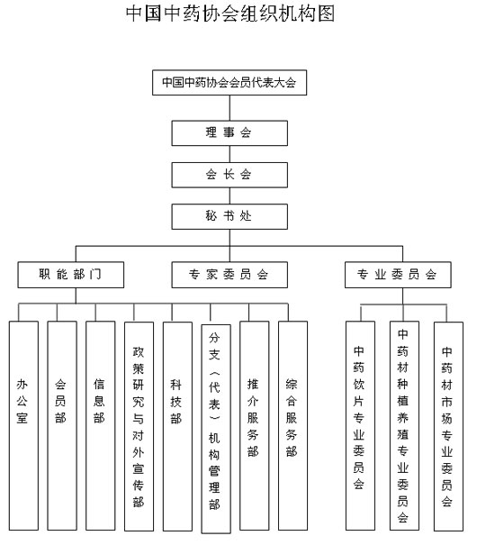 组织机构图 组织机构图