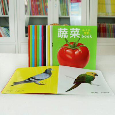 0~2岁宝宝全书·蔬菜(0~2岁宝宝全书·蔬菜) 0~2岁宝宝全书·蔬菜(0~2岁宝宝全书·蔬菜)