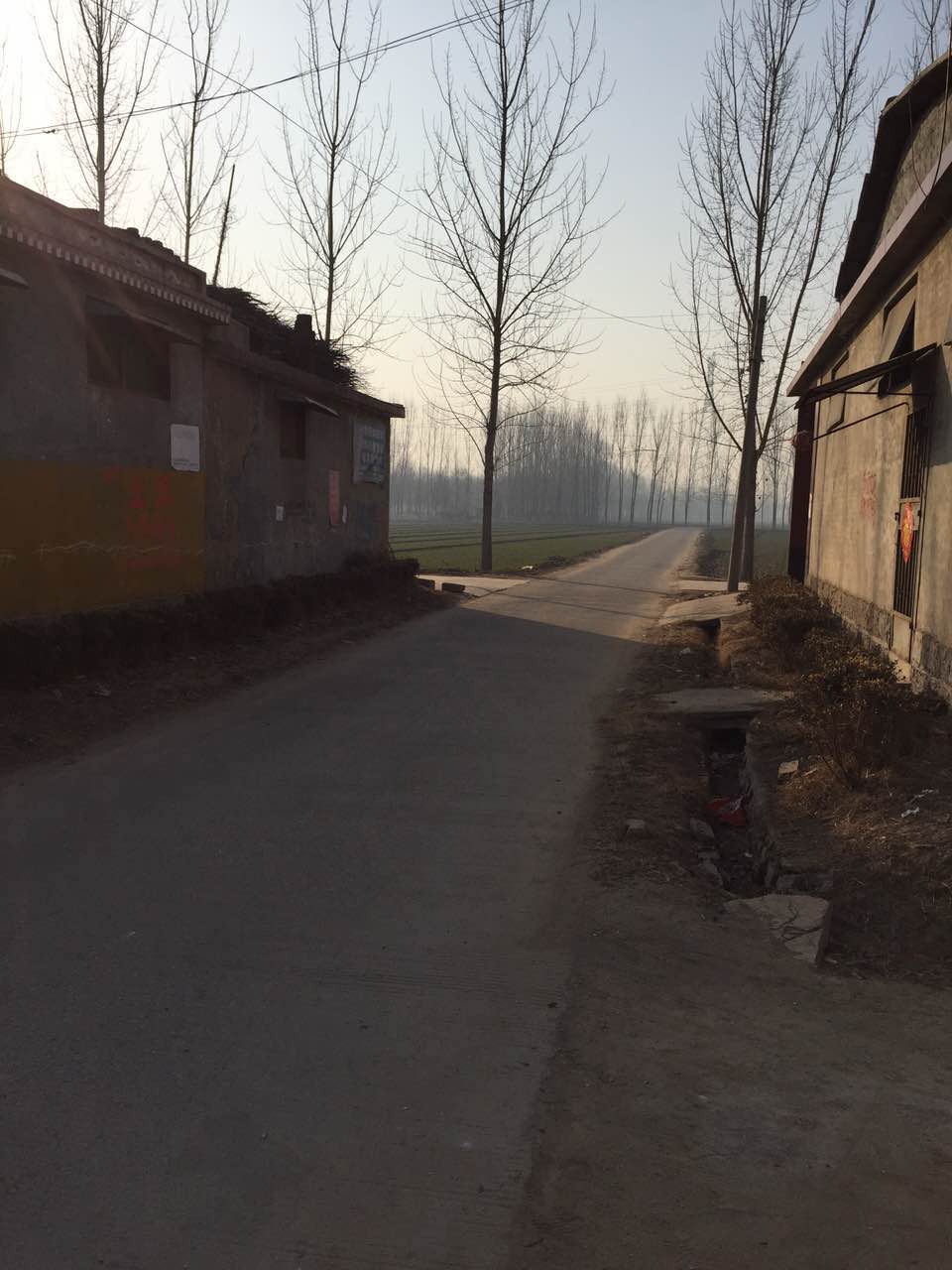 庞庄 庞庄