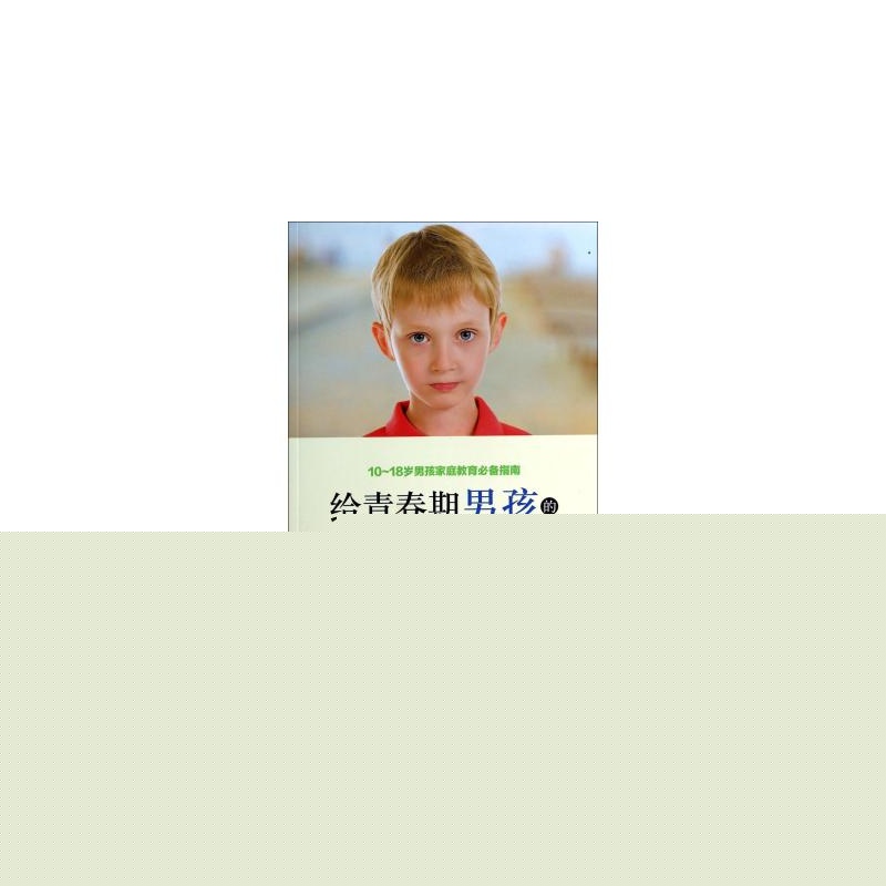 给青春期男孩的100个引导 给青春期男孩的100个引导