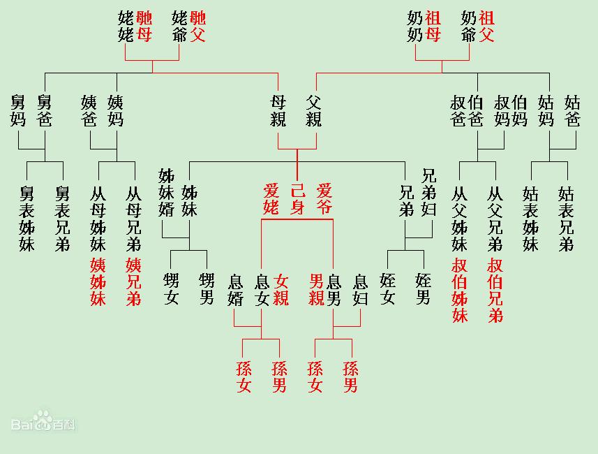 再从母姊妹 再从母姊妹